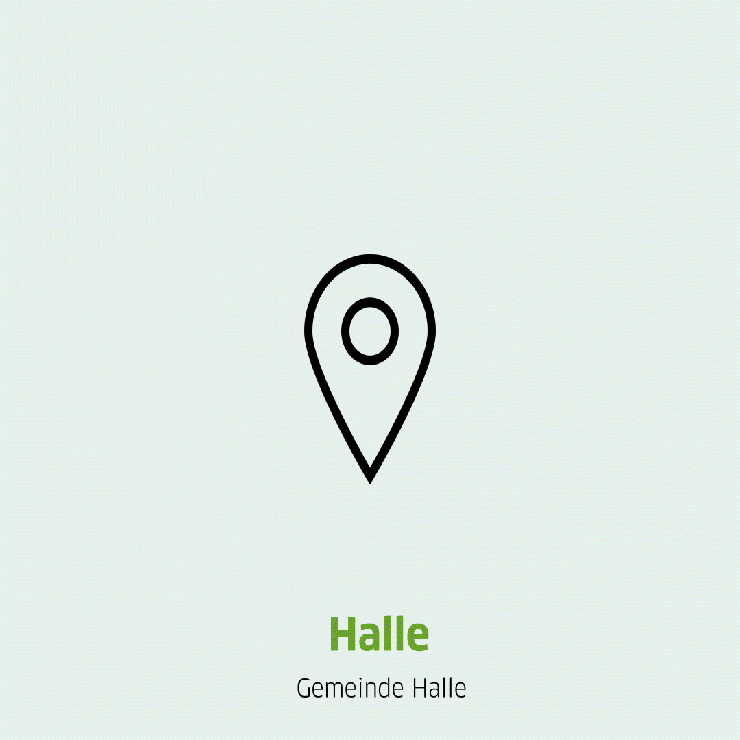 Springende Pinnnadel und Aufschrift des Standortes HAVAG Dächer