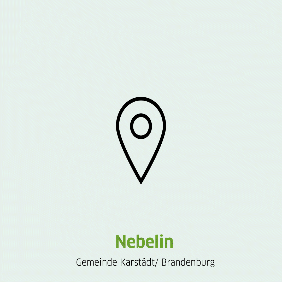 Springende Pinnnadel und Aufschrift des Standortes Nebelin