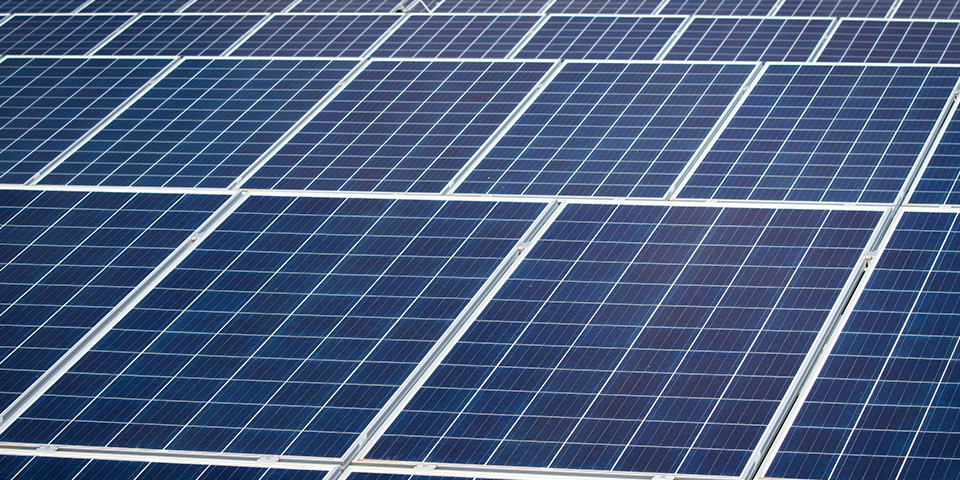 Solarmodule des Solarparks Phönix