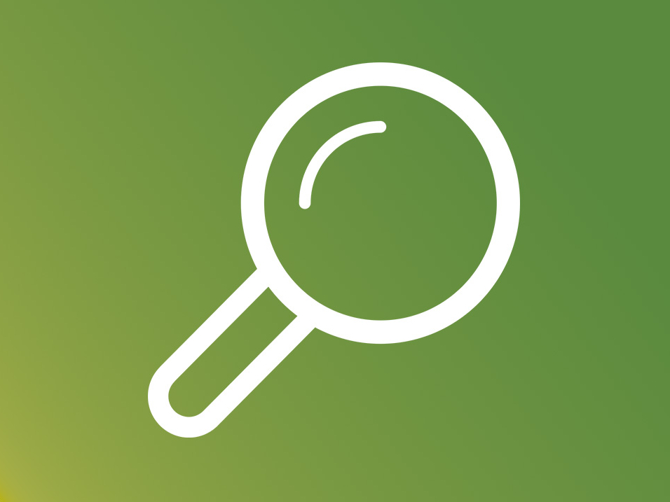 grüner Farbverlauf und eine Lupe